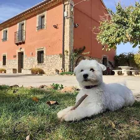 Country house Las Masadas, Casa Rural Con Actividades Incluidas