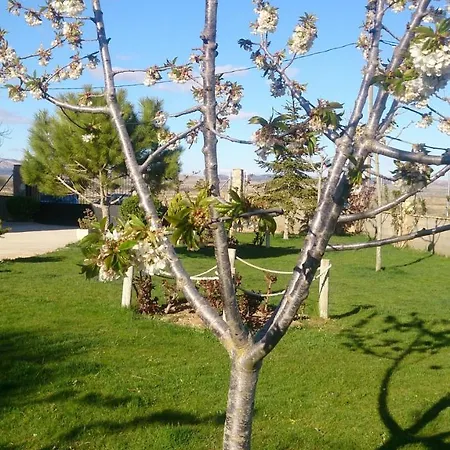 Country house Las Masadas, Casa Rural Con Actividades Incluidas *