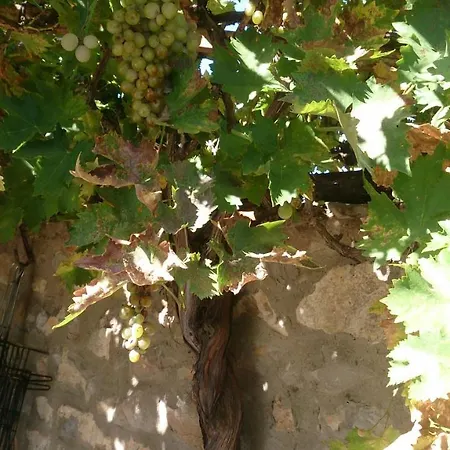 Landhuis Masadas Cella