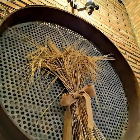 Masadas Landhuis Cella