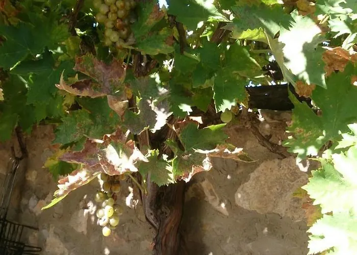 Casa rural Masadas Cella