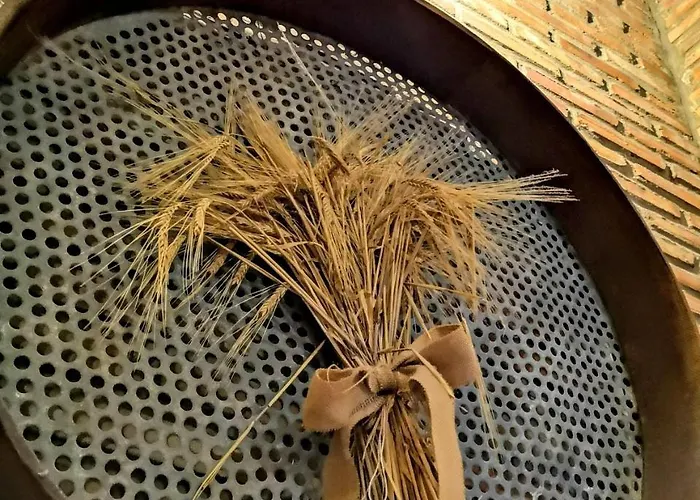 Masadas Casa rural Cella